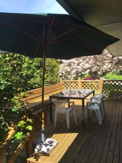Chris's Cabin - Greytown - 8