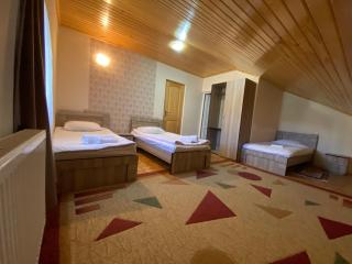 Manana Japaridze's Guesthouse - 4