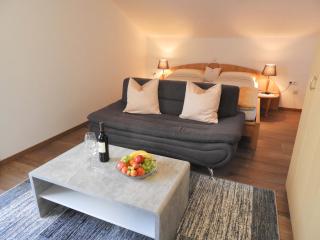 Appartements Hirsch - Bad Birnbach - 7