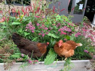 Het Lage Noorden - 4