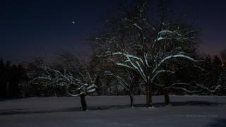 Baumzelt im Winter - 3