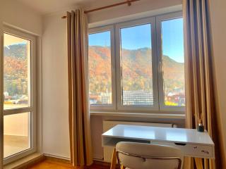CityView Apartment - Braşov - 9