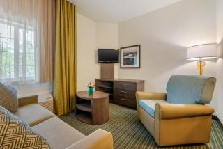 Candlewood Suites Fort Myers Interstate 75 by IHG - Fort Myers - 2