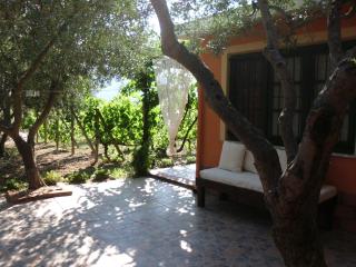 Il Vigneto "Cottage" - Gaggi - 6