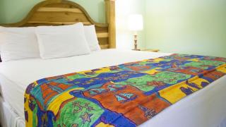 Holidays At Holiday Heaven - Runaway Bay - 7