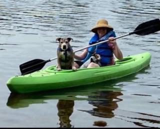 Hanson Family Lake House - Angola - 4