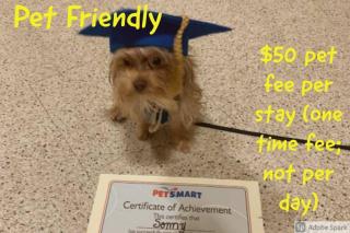 Hanson Family Lake House - 5