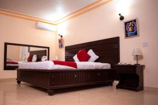 La Pepiniere Hotel - Petionville - 3