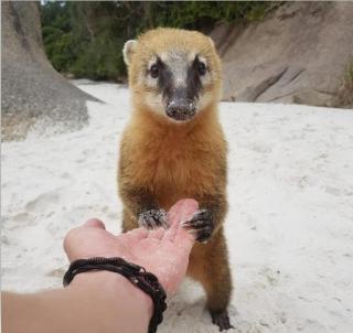 Olhar da Barra Hospedagem - Refugio Urbano II - 5