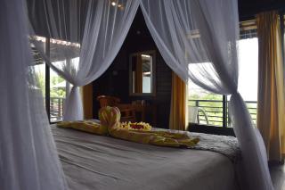 Bali Belva - 1