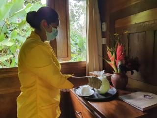 Bali Mountain Retreat - Selemadeg - 2