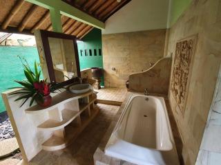 Bali Mountain Retreat - Selemadeg - 3