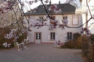 La Maison Carré - Wolxheim - 3