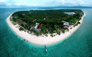 Divine Divers Gili Meno - Gili Meno - 0