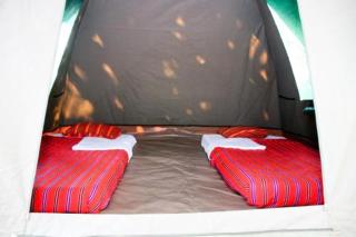 Amboseli Cultural Camping - Amboseli - 8