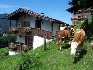 Bojernhof inkl. Chiemgaukarte - Ruhpolding - 1