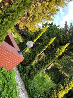 Dom blisko centrum - 6