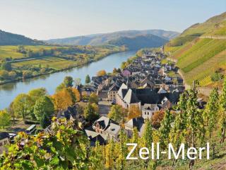 Haus Marientaler Au GbR - Zell an der Mosel - 4