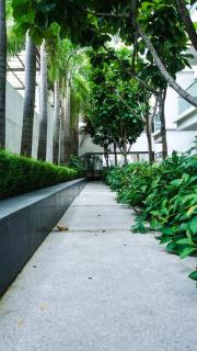 Imago LOFT B corner garden studio BUDGET LOW PRICE EVERYDAY - Kota Kinabalu - 4