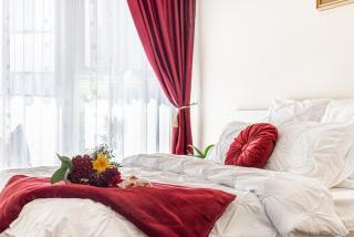 ARI - ARED Luxurious Apartments with Balcony & Free Parking - Arad - 0