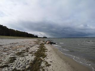 Ferienwohnungen "Weitblick" und "Schwalbennest" - 6