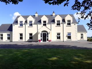 Single or Twin Room in Lovely Country Residence - Nobber - 7