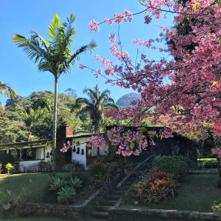 Pinheiros do Rocio - Petrópolis - 8
