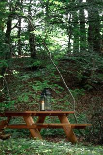 Gut Moorbeck - Amelhausen - 3