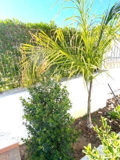 Villa Med - private pool, garden, sun all day, stunning views - 2