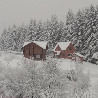 Sadyba Drymba - Skhidnitsa - 9