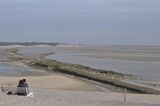 imperatrice 2 - Berck-sur-Mer - 9