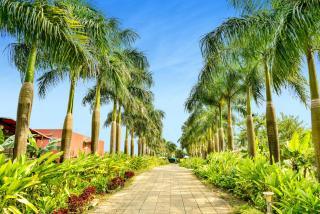 Anchaviyo Resort By Zuper - 4