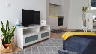 Palmeira Comfort - Aveiro - 5