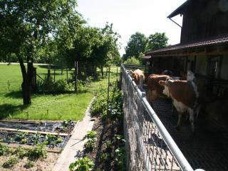 Kirmeier Hof - Bad Endorf - 4