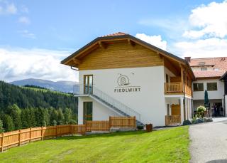 Gästehaus Fiedlwirt - Obdach - 9