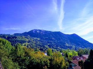 Ferienwohnung Grüntenpanorama im Jägerwinkl Allgäu - 9