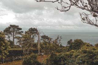 Adegas do Pico - Prainha de Baixo - 6
