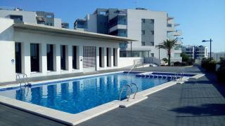 Begonia - Orihuela Costa - 9