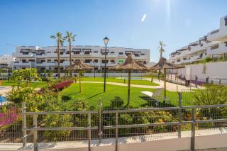 Palmera - 9