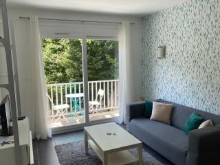 PETIT NID AU BOURGET DU LAC - 9