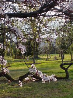 DOMAINE BERENGUER - Ouches - 6
