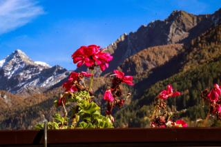 Casa Lana - Chiesa in Valmalenco - 8