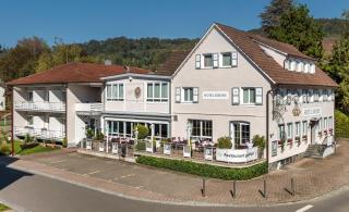 Bodenseehotel Krone & Gästehaus - Bodman-Ludwigshafen - 0