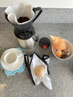 Conchas de Palmas - 5