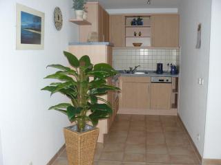 Residenz am Strand Wohnung 1-01 - Zingst - 7
