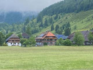 Gästehaus Kaiser - Menzenschwand - 8