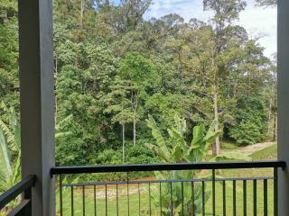 Sementra Hot Spring Nature Resort - Gopeng - 5