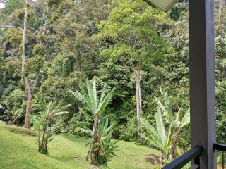 Sementra Hot Spring Nature Resort - Gopeng - 4
