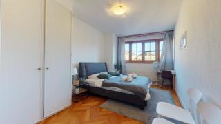 Modern apartment with a view of the Jet d'Eau - Ginevra - 9