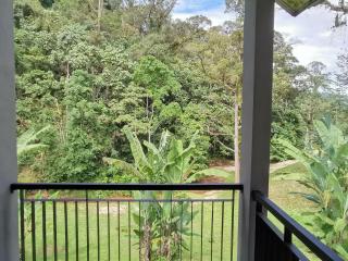 Sementra Hot Spring Nature Resort - Gopeng - 8